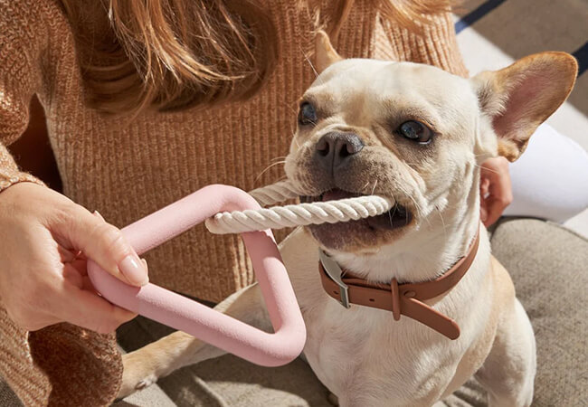 Fins and Tails web N 07